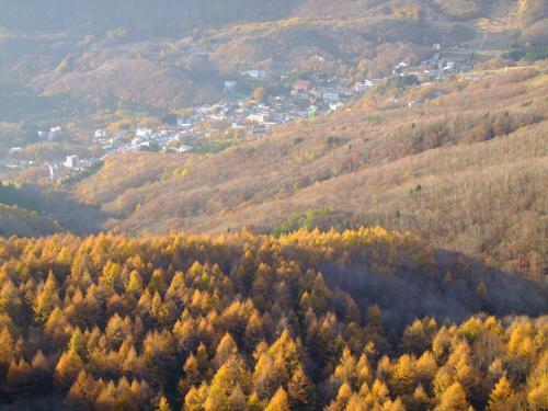 Itoya