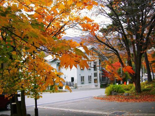 Hostal Pension Puutaro