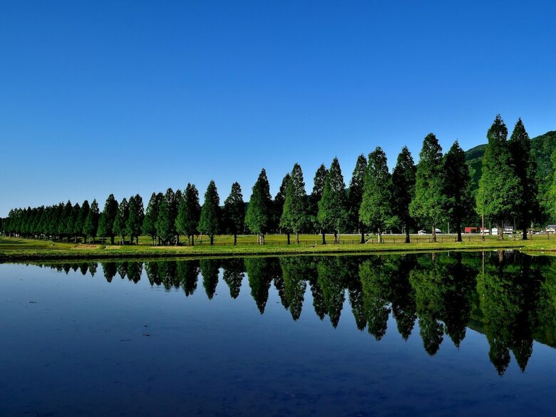 Grand Park Hotel Okubiwako Makino