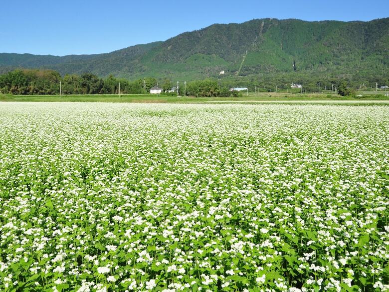 Grand Park Hotel Okubiwako Makino
