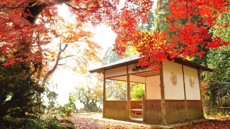 Grand Park Hotel Okubiwako Makino