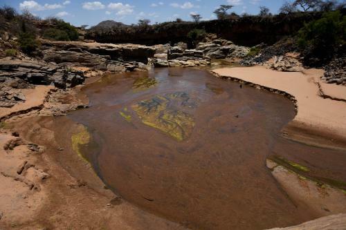 Lion's Cave Camp, Samburu