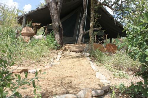 Lion's Cave Camp, Samburu