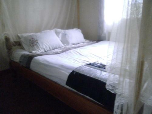 Hostal Africana Yard