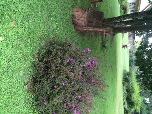 Hostal Muremba Retreat Kitale
