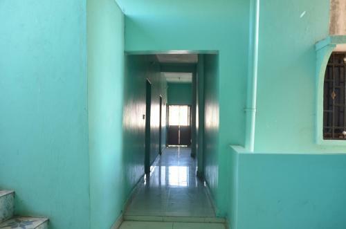 Young Safari Hotel