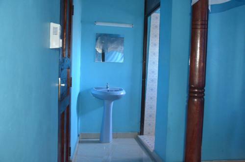 Young Safari Hotel