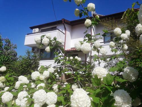 Villa Kalina