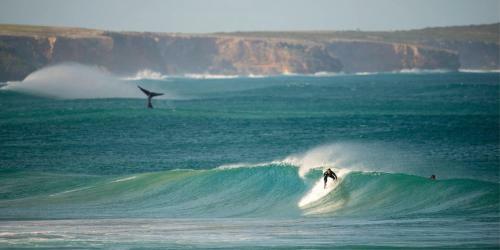 Warrnambool Holiday Park And Motel