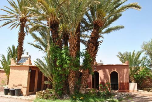 Hostal Bivouac La Palmeraie