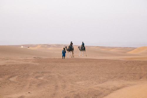 Hostal Bivouac La Palmeraie