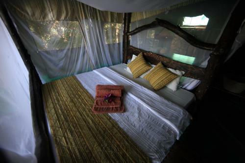 Aruba Mara Camp & Safaris