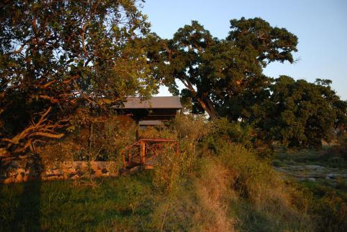 Aruba Mara Camp & Safaris