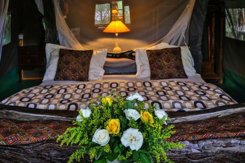 Aruba Mara Camp & Safaris