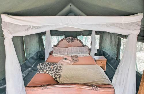 Aruba Mara Camp & Safaris