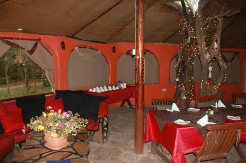 Aruba Mara Camp & Safaris