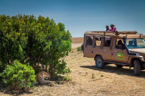Lodge Mara Leisure Camp