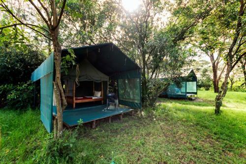 Talek Bush Camp , Masai Mara