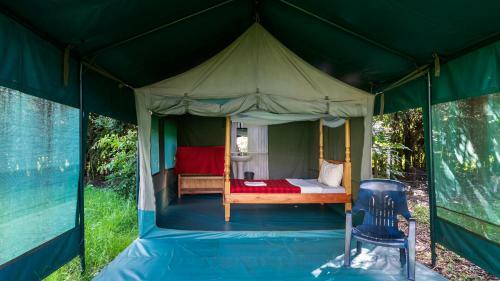 Talek Bush Camp , Masai Mara
