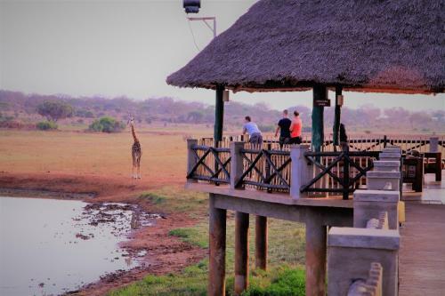Voi Wildlife Lodge