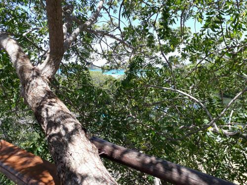 Hotel On-the-beach Backpackers