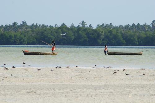 Hotel On-the-beach Backpackers