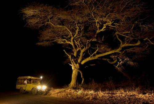 Lodge Severin Safari Camp
