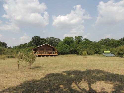 Loyk Mara Luxury Camp