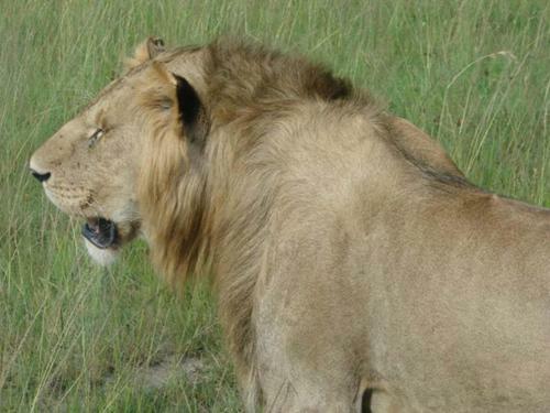 Sarova Taita Hills Game Lodge