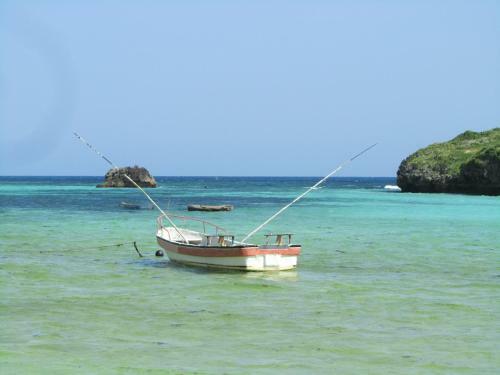 Bed & Breakfast Sibil Nyumba Oasis