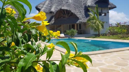 Bed & Breakfast Nyumba Nicole