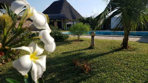 Bed & Breakfast Nyumba Nicole