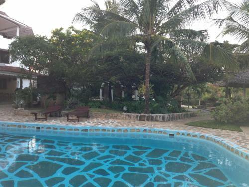 Bed & Breakfast Pashmina House