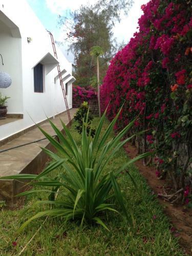 Villa Mwaz House