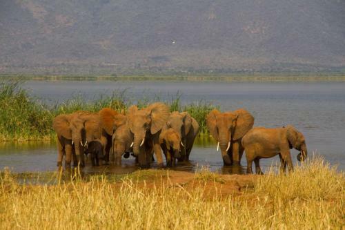 Hotel Lake Jipe Safari Camp
