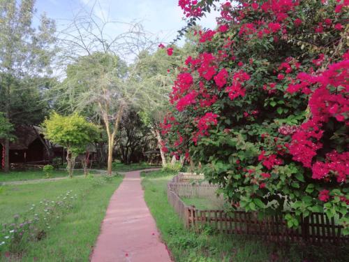 Lodge Mara Chui Resort