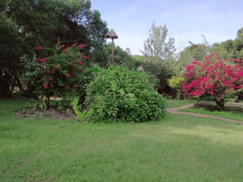 Lodge Mara Chui Resort