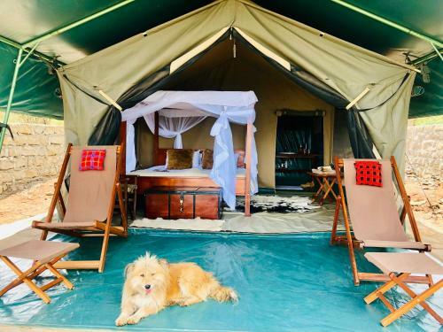 Oldarpoi Wageni Camp