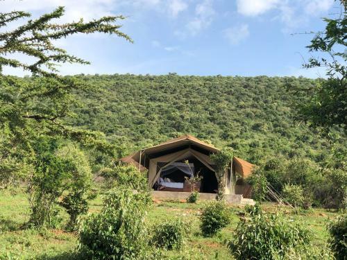 Oldarpoi Wageni Camp