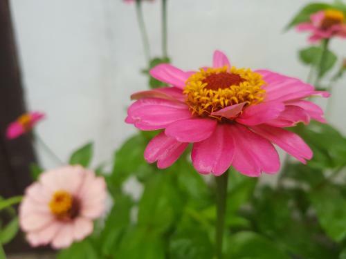 Hostal Hanok Story Guesthouse