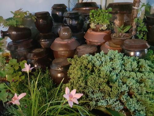 Hostal Hanok Story Guesthouse