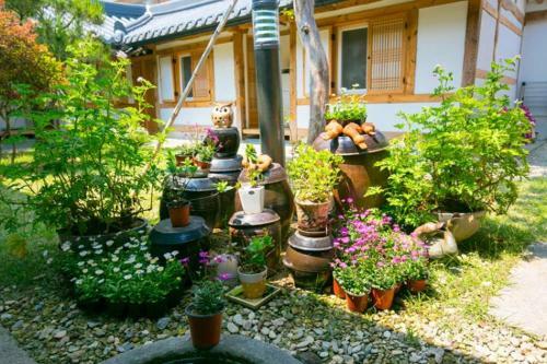 Hostal Sarangnamoo Hanok Guesthouse