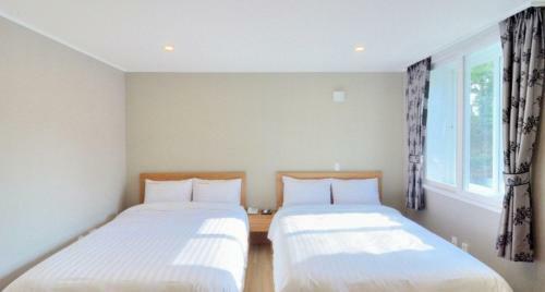 Hotel Star House