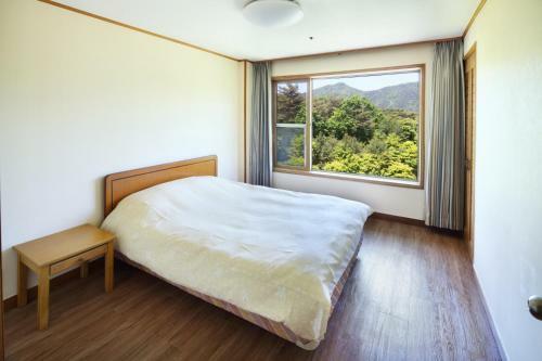 Hotel Hanwha Resort Suanbo
