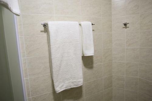 Altai Business Hotel