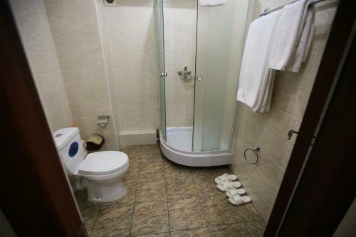 Altai Business Hotel