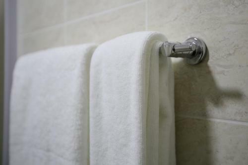 Altai Business Hotel