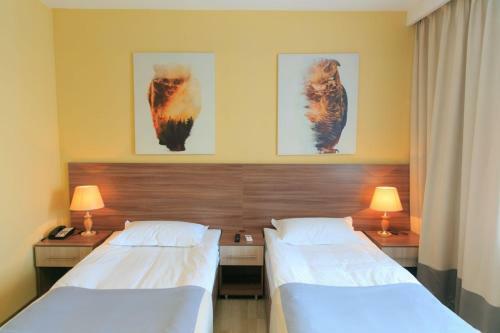 Hotel Green Which Tourist Borovoye