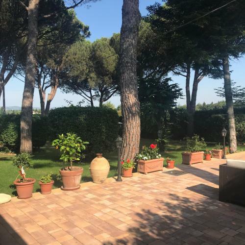 B&B Parco Degli Ulivi