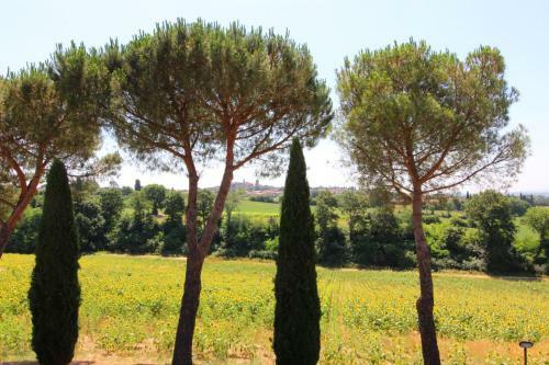 Sant'anastasio Villa Sleeps 24 Pool